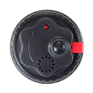 Pajączki